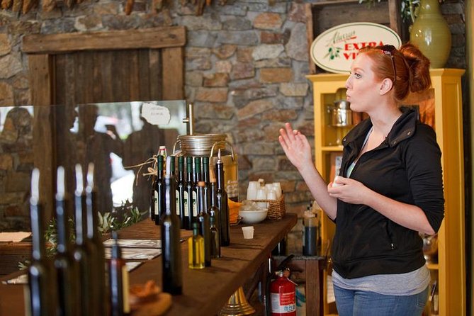 #1 Sonoma Walking Food, Wine Tasting & History Tour (Public Tour) - First stop energy: Sonoma Plaza is the perfect stage