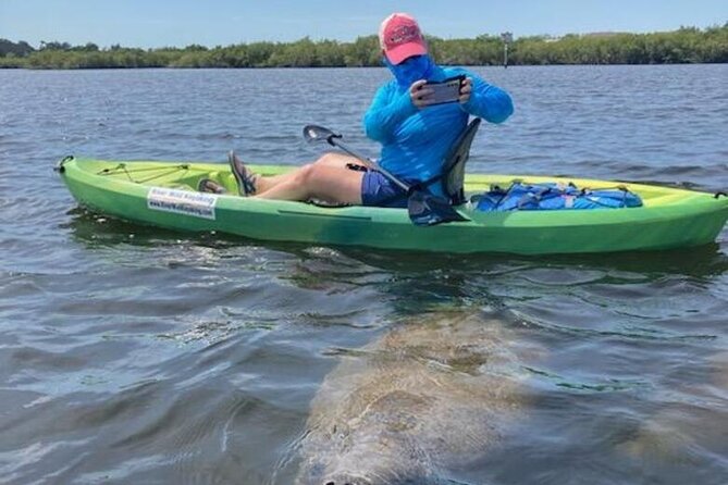 2.5 Hour Kayaking with Manatee and History Tour in Tarpon Springs - Mangrove Paddling and Wildlife Spotting: The Real Star of the 2.5 Hours