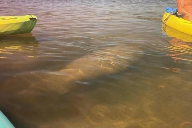 2.5 Hour Kayaking with Manatee and History Tour in Tarpon Springs - Before You Paddle: What You’ll Likely Go Through on Arrival