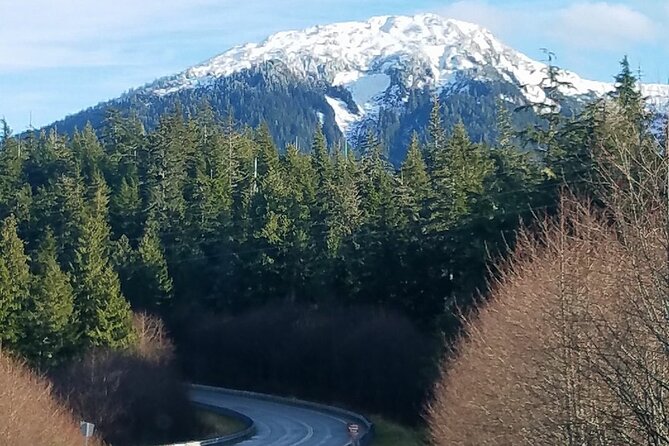 2 Hour Custom Wildlife and Historical Tour - Stop 3: Herring Cove for whales, orcas, bears, and eagles
