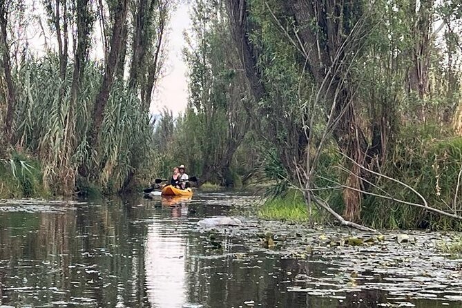 3 Hours of Kayaking at the Ancient Canals of Xochimilco - Key moments that make this trip worth it