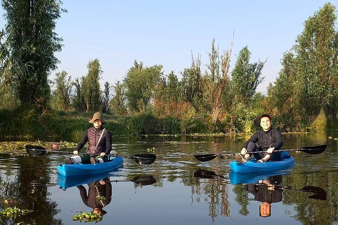 3 Hours of Kayaking at the Ancient Canals of Xochimilco - Xochimilco by kayak: why this view beats the boat lines