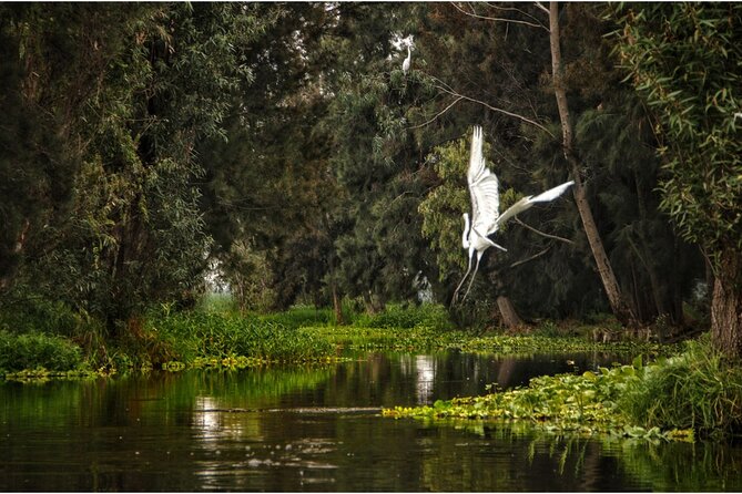 3 Hours of Kayaking at the Ancient Canals of Xochimilco - What the 3 hours on the water actually feels like