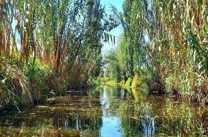 3 Hours of Kayaking at the Ancient Canals of Xochimilco - Chinampas on the canal: seeing prehispanic farming in motion