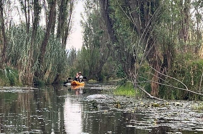 3 Hours of Kayaking at the Ancient Canals of Xochimilco - The guide factor: Grant’s history-meets-now explanations in English