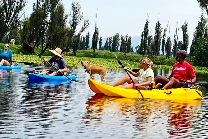 3 Hours of Kayaking at the Ancient Canals of Xochimilco - Who this trip suits best (and who should choose something else)