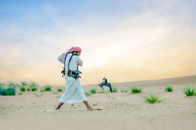 57 Heritage Desert Safari - Falconry at the camp: the 30-minute bird of prey segment