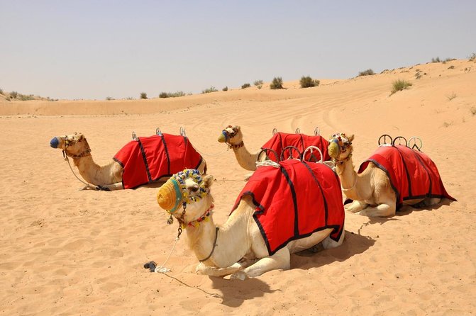 57 Heritage Desert Safari - Pickup timing in Dubai: summer vs winter and what that means for you
