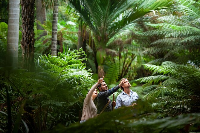 Aboriginal Heritage Walk - Royal Botanic Gardens Victoria, Melbourne Gardens - Quick take: what makes this walk worth your time