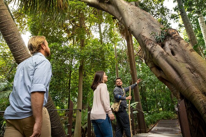 Aboriginal Heritage Walk - Royal Botanic Gardens Victoria, Melbourne Gardens - Royal Botanic Gardens Victoria: walking on Koolin/Kulin Country