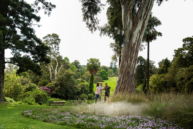 Aboriginal Heritage Walk - Royal Botanic Gardens Victoria, Melbourne Gardens - Price and value: how $30.51 stacks up