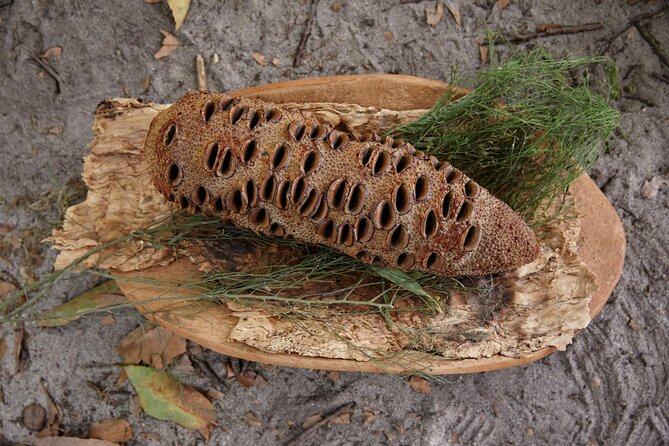 Aboriginal Heritage Walk - Royal Botanic Gardens Victoria, Melbourne Gardens - Who this suits best (and who may want to adjust expectations)