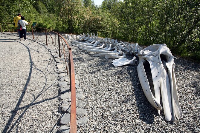 Alaska Native Heritage Center Admission Ticket - Village site touring: six dwellings and a guided path through tradition