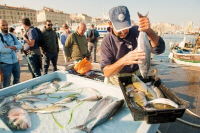 All Inclusive Food & History Tour of Marseille with Local Guide - Panisse and Chickpea Snacks: A Marseille Starter You’ll Remember