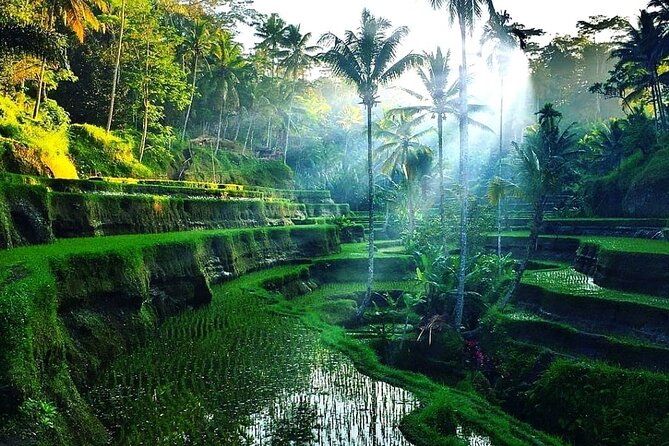 [All Inclusive] The Soul of Bali: Temples, Art & Traditions Tour - Pickup around Ubud and south Bali: private transfers that actually save time