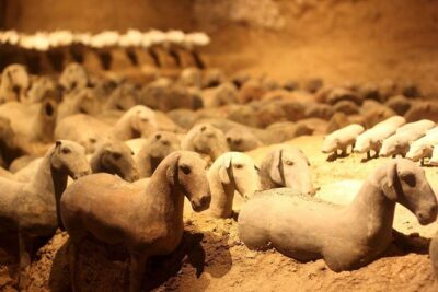 All inclusive Two-Day Xi'an private Heritage Tour - Day 1: Terracotta Warriors, City Wall, and cave-dwelling conversations
