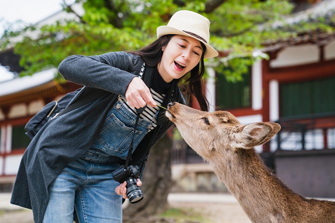 Ancient Capital Tour: Kyoto and Nara Highlights from Kyoto/Osaka - Key Things I’d Focus On