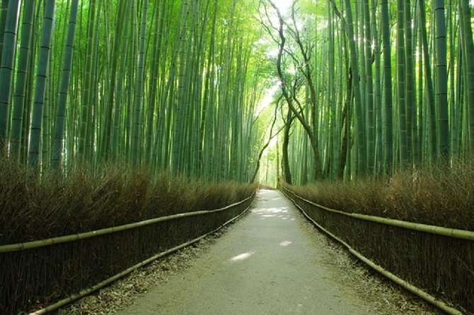 Ancient Capital Tour: Kyoto and Nara Highlights from Kyoto/Osaka - Kinkaku-ji Golden Pavilion: How to Make the Most of a 45-Minute Visit