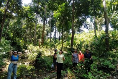Ancient Lava Stream Trek through dense Tropical forest. - Where the trek starts on Havelock Island