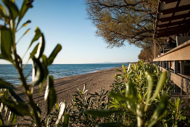 Ancient Olympia & Kourouta Beach - All Included Tour - Katakolo’s “two-stop” plan that actually feels balanced