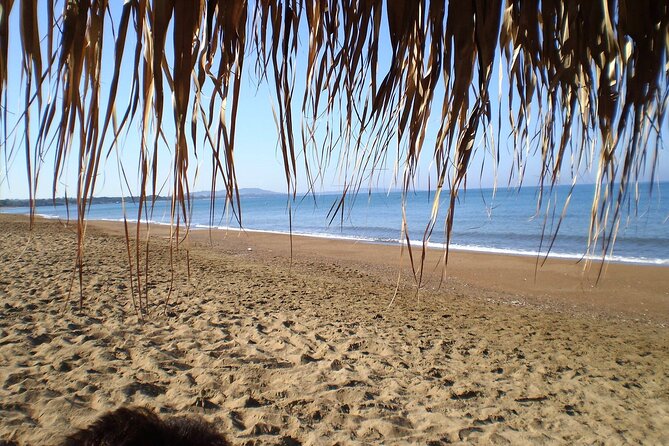 Ancient Olympia & Kourouta Beach - All Included Tour - What’s included (and what you’ll need to cover yourself)