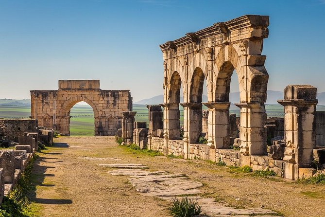 Ancient Ostia from Rome: Archaeology & History, Semi-Private Tour - Walking reality check: preparing for old streets and uneven ground
