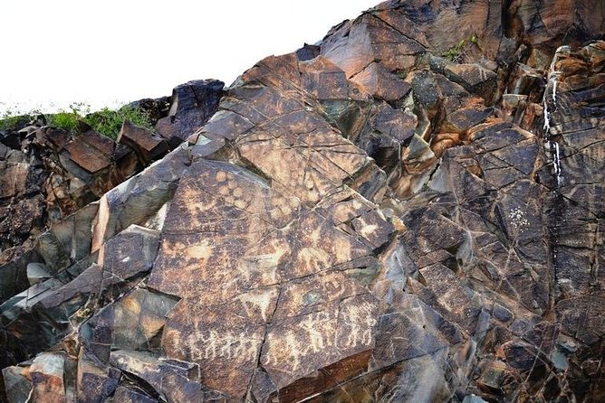 Ancient petroglyphs of Tanbaly - UNESCO World Heritage - Who This Tour Suits Best (And Who Should Rethink It)