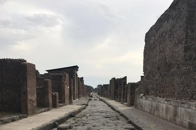 Ancient Pompei in the afternoon - Who this tour is best for (and who might want another option)