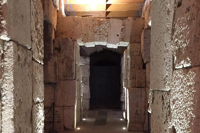 Ancient Rome and Colosseum Private Tour with Underground Chambers and Arena - Private tour, real-life groups: what private means here