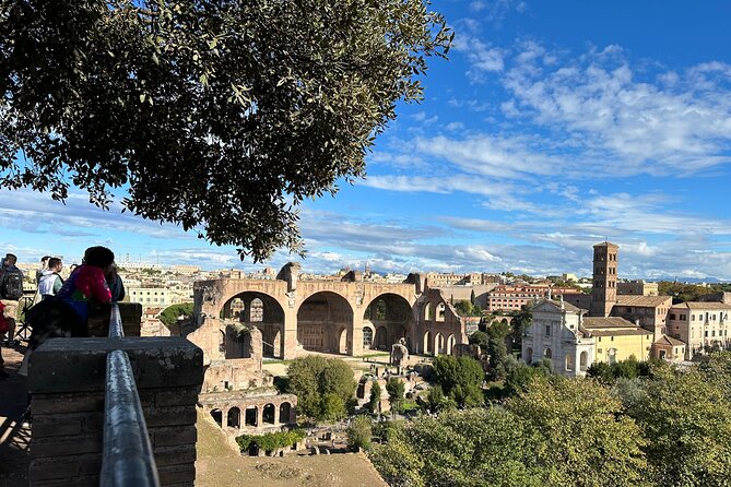 Ancient Rome Discovery: Colosseum, Forum, Palatine Guided Tour - Who Should Book This Tour (and Who Might Skip It)
