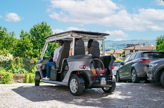 Ancient Rome: Private Golf Cart Tour - Terrazza del Pincio and Piazza del Popolo: Rome’s view stops