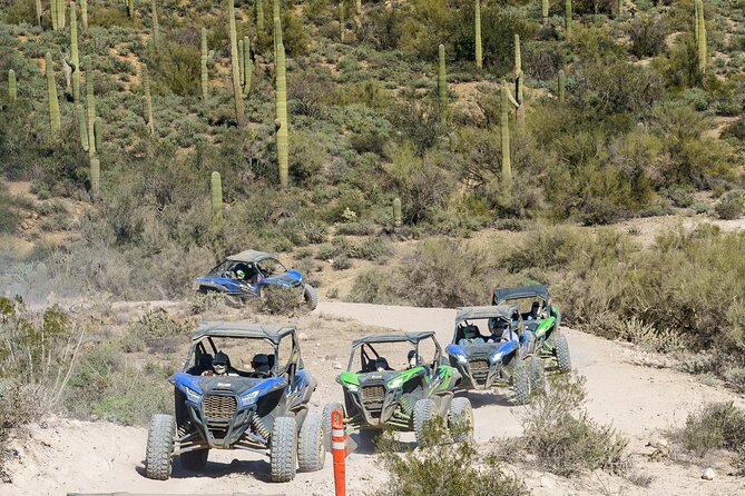 Ancient Ruins Tour - Guided Arizona Desert Tour by UTV - Key highlights before you go
