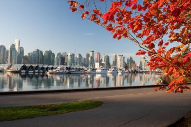 Ancient Trees of Vancouver Walking Tour - Key highlights worth your attention