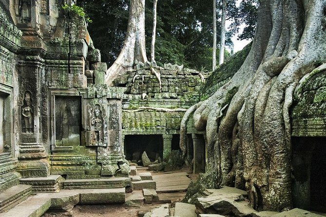 Angkor Wat, Angkor Thom Ancient Capital, Ta Promh Temple - Angkor Wat: start big, then learn how to read the place