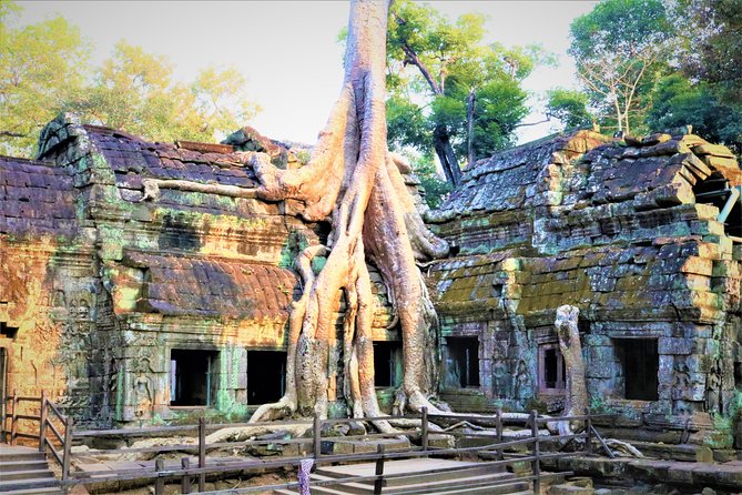 Angkor World Heritage with Sunrise - Small Group - Ta Prohm: Jungle Walls, Stone Edges, and the Feeling of Time