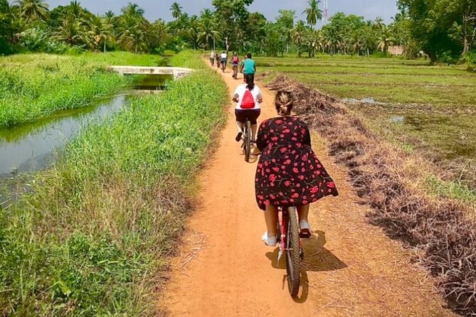 Anuradhapura Heritage Mountain bike / bicycle Tour - Price and value: $25 plus the UNESCO ticket reality