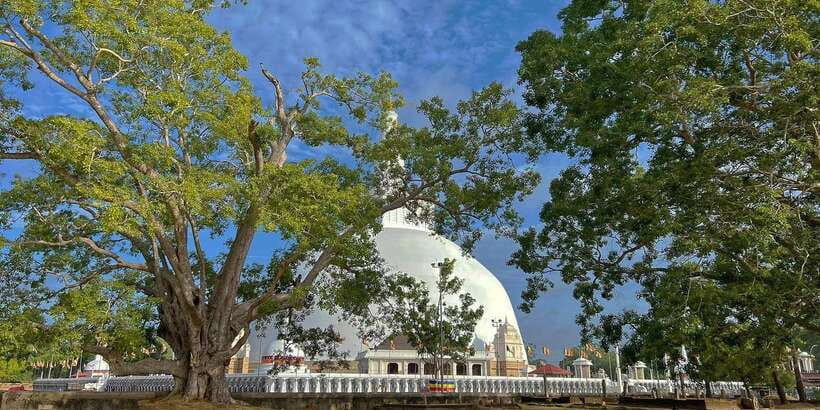 Anuradhapura Private Ancient City Day Tour - Key highlights you’ll actually care about