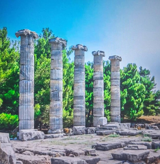 Athens: Corinth Canal and Ancient Olympia Private Trip - Ancient Olympia: The Ruins and Training Grounds You’ll Want Time For