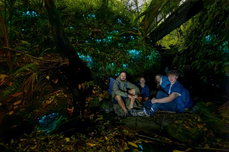 Auckland: Inner-City Glowworm Experience in Ancient Volcano - Glowworms on Pukekawa: Auckland’s night-sky version