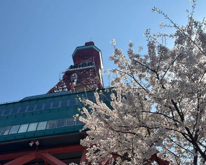 Authentic Sapporo: Nijo Market Seafood Lunch & History Tour - Hokkaido Jingu Tongu: A Shrine With Local Belonging
