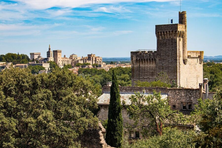 Avignon: Private Walking Tour – Discover History & Heritage - Starting at Pl. de l’Horloge and then finding the city’s tempo