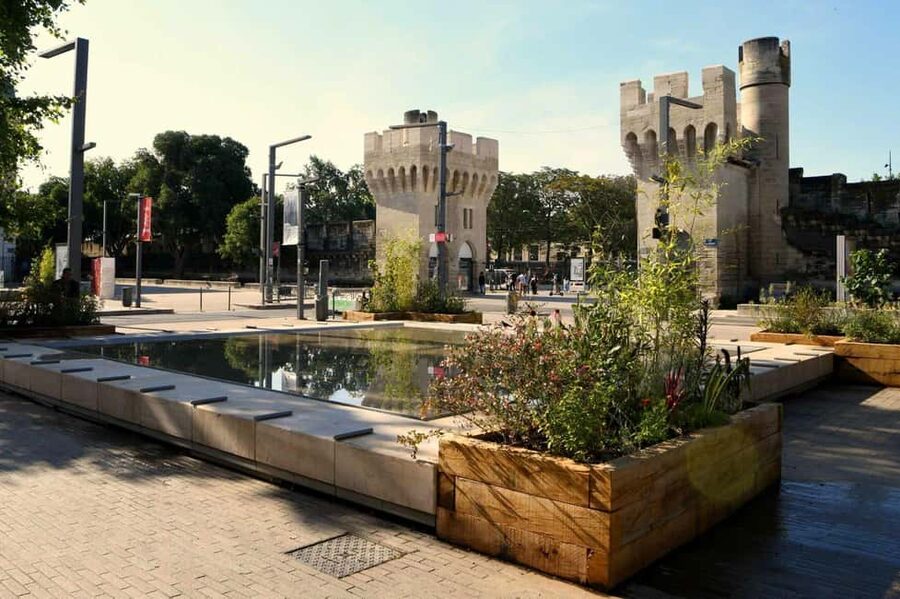 Avignon: Private Walking Tour – Discover History & Heritage - Pont St. Bénezet and the bridge walk that changes your photos