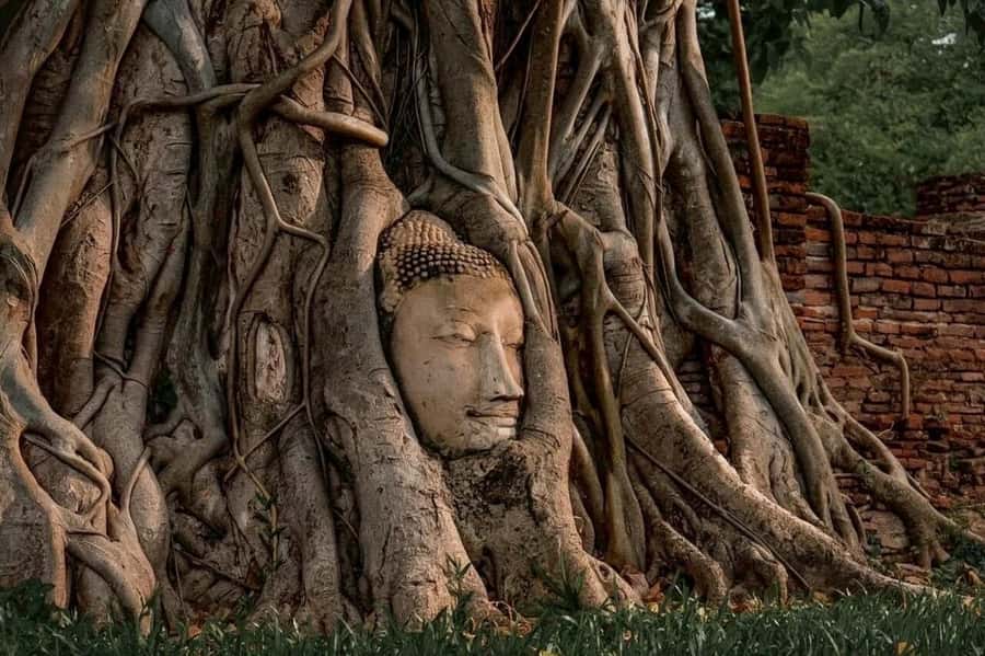Ayutthaya Private Guided Day Tour, 4 Ancient Temples - Price and Time: Is $134 Per Person Worth It?