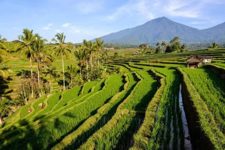 Bali: Private UNESCO World Heritage Sites Tour - The Private UNESCO Circuit: What the 10 Hours Really Feel Like