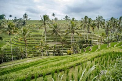 Bali: Tanah Lot UNESCO World Heritage Sites Full-Day Tour - Pickup, timing, and why that 10 hours feels longer than it sounds