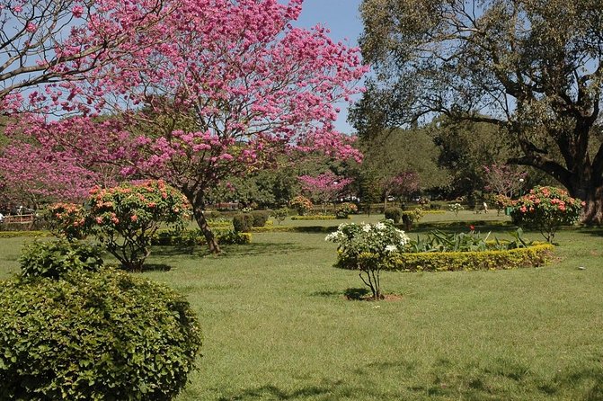 Bangalore Heritage and Cultural Walking Tour - Key highlights you’ll actually feel on the walk