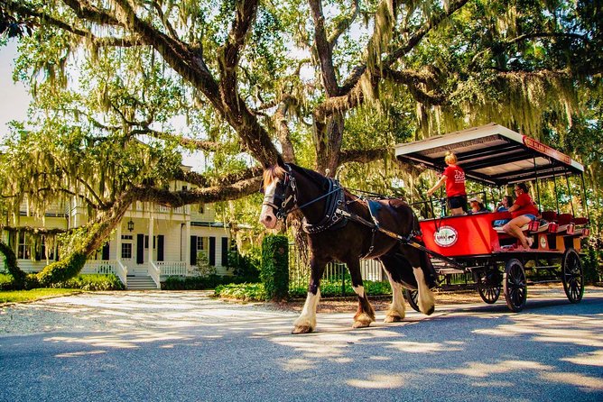 Beaufort’s #1 Horse & Carriage History Tour - Key things to know before you go