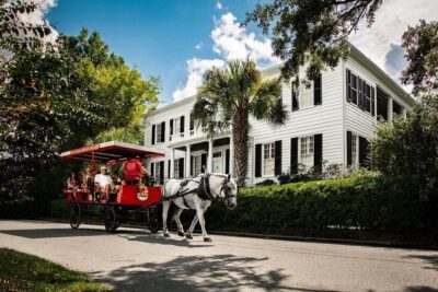 Beaufort’s #1 Horse & Carriage History Tour - Your ride timeline: what you’ll do from start to finish