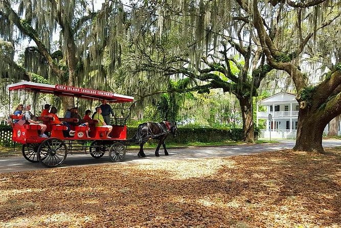 Beaufort’s #1 Horse & Carriage History Tour - Guides and horses: why comfort and clarity matter