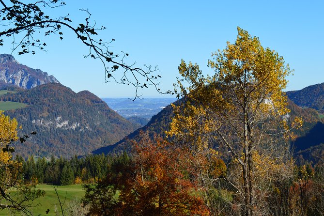Berchtesgaden-Obersalzberg Private Half Day WWII Historical Tour - A 4-hour private format that keeps Obersalzberg from feeling overwhelming